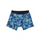 Pánske Boxerky Quiksilver Island - IMPOSTER C